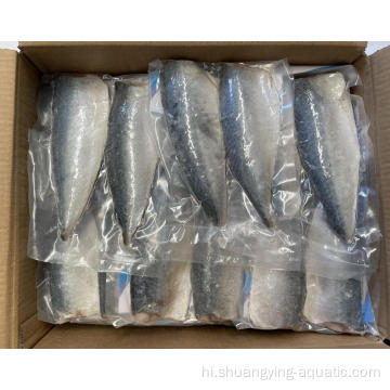 कम कीमत में चीनी जमे हुए मछली मैकेरल पट्टिका